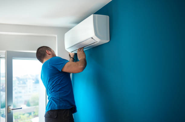 Best Best HVAC companies  in Pine Island, MN